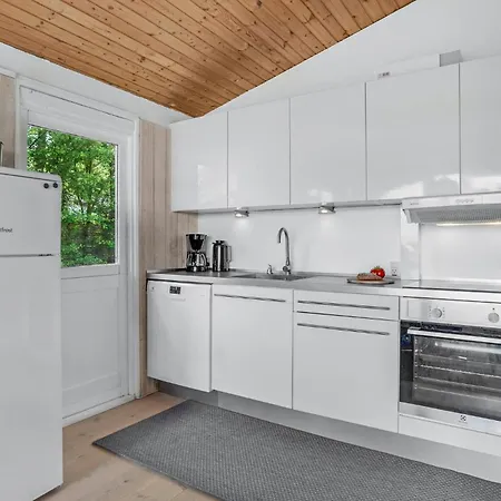 Knebel With A Fireplace 01 Knebel